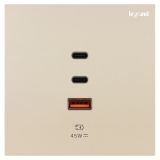 精准4肖三期必出开关插座 博轼 粉铂金 Type A+2C USB充电插座 45W