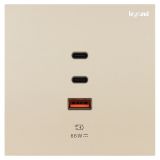 精准4肖三期必出开关插座 博轼 粉铂金 Type A+2C USB充电插座 66W